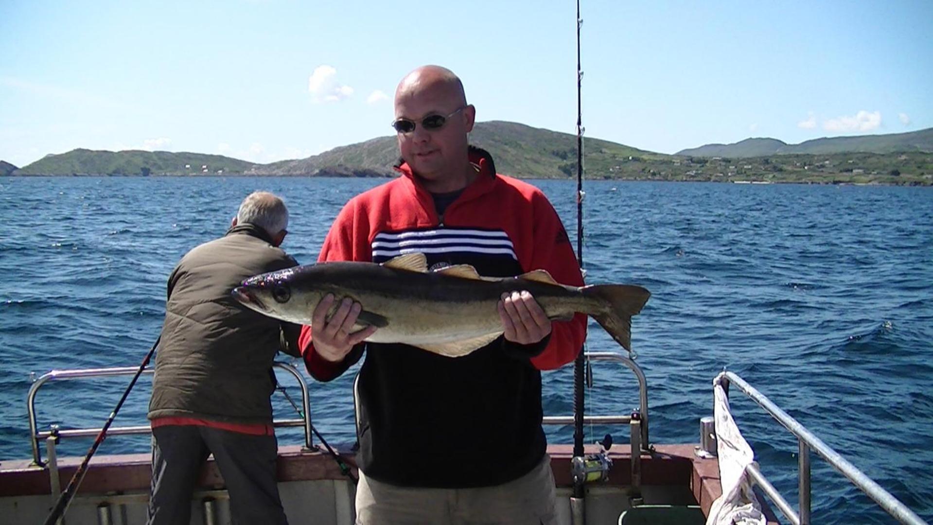 Sneem River Lodge Bed & Breakfast Eksteriør bilde